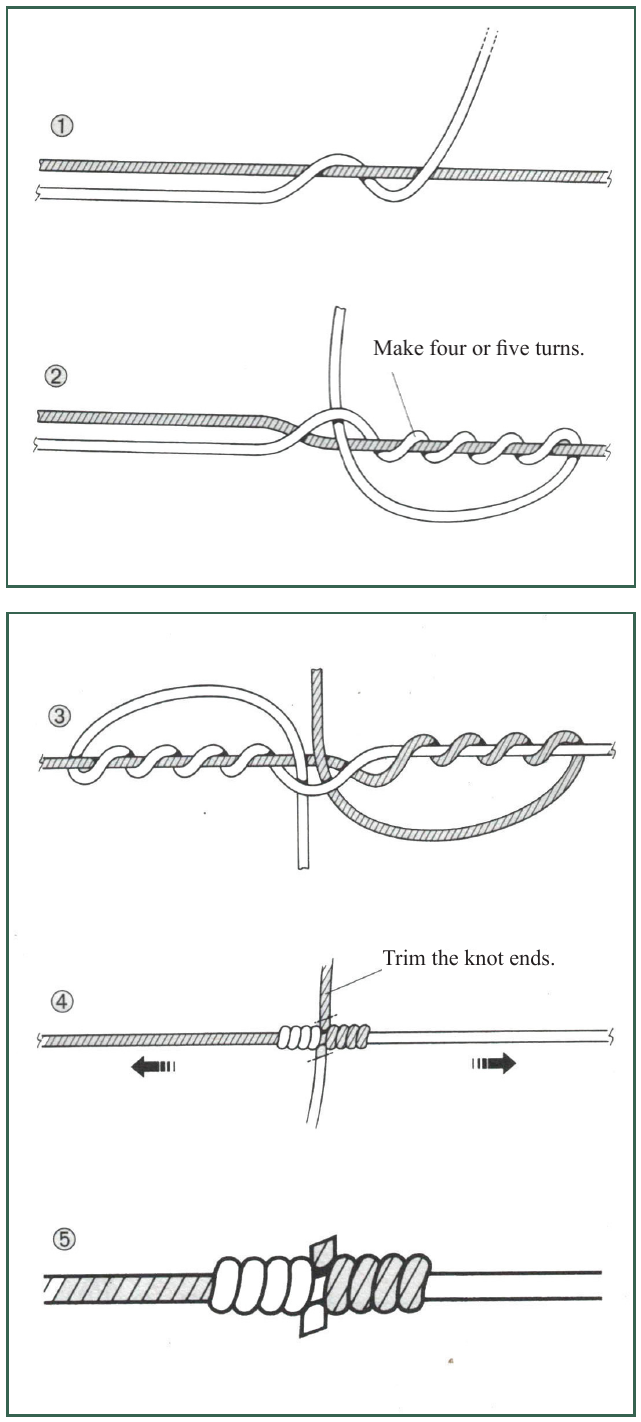 Blood knot diagram