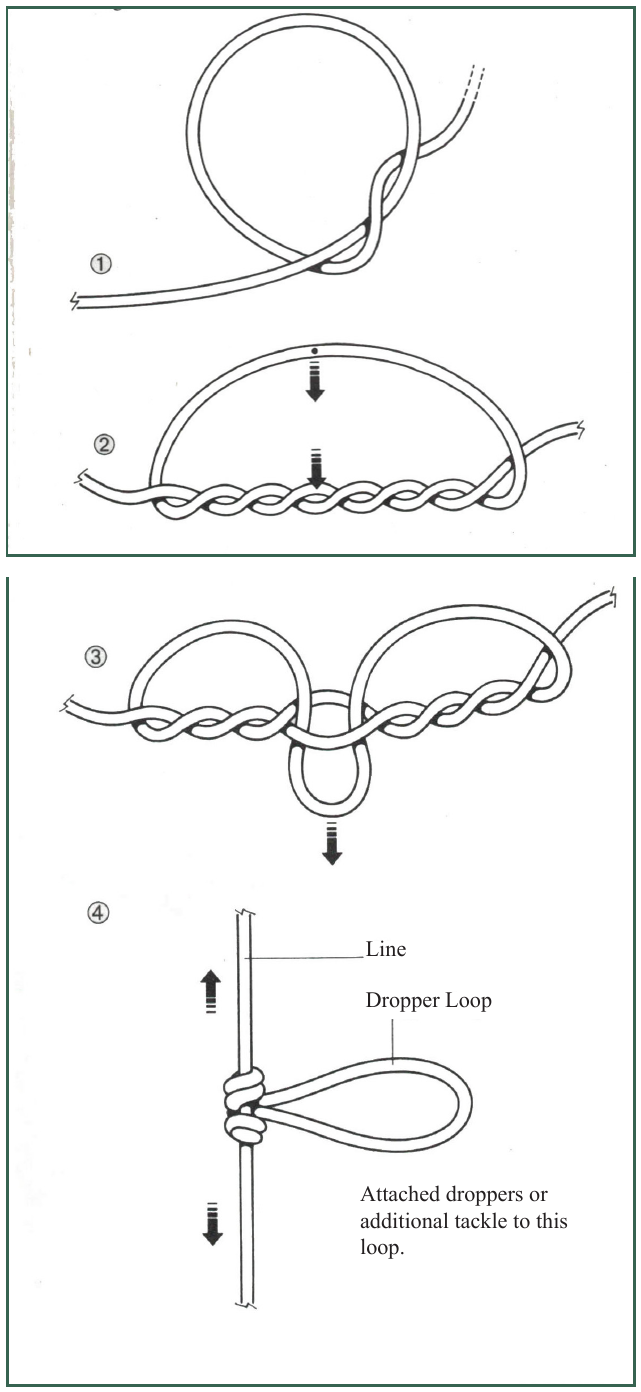 Dropper loop diagram